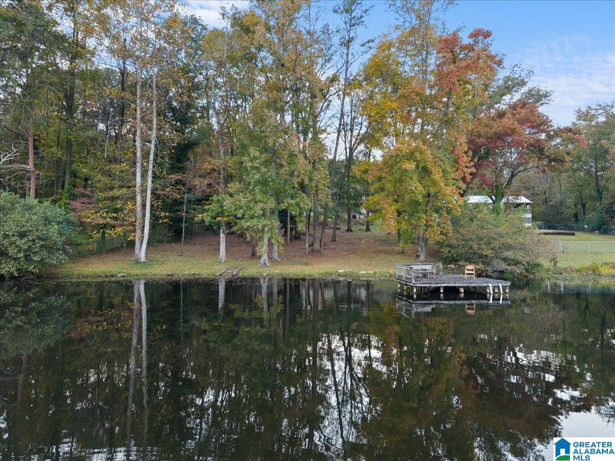 Image 3: View from lake
