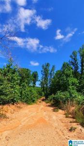 20 Acres COUNTY ROAD 123