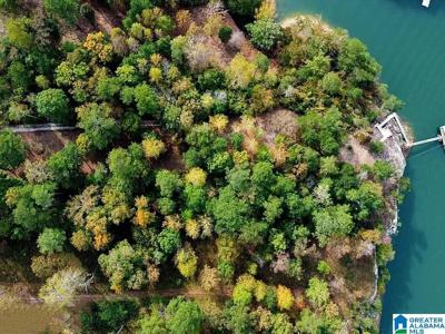 Lot 115-117 SIPSEY OVERLOOK DRIVE