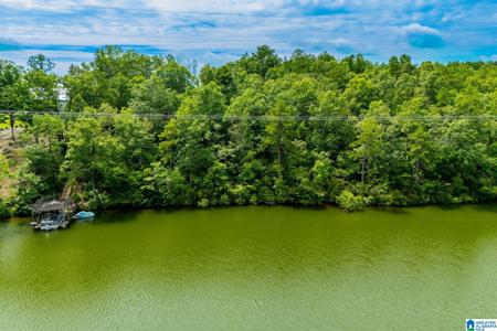 7.76 ACRES COUNTY ROAD 2564
