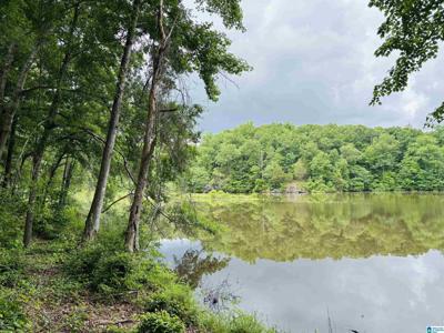 Lot 8 COUNTY ROAD 499