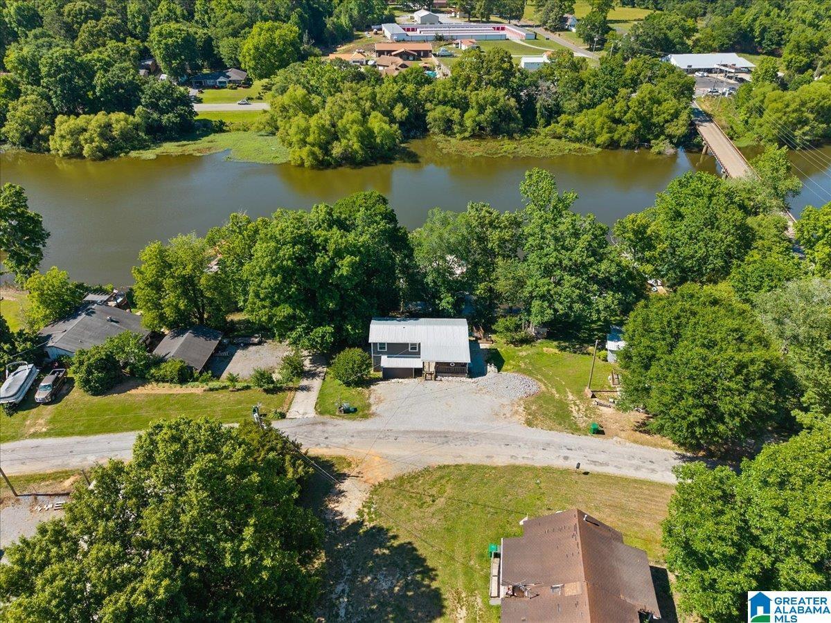 Image 4: Aerial View