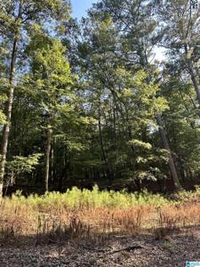 470 BLACK ACRES ROAD