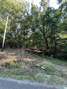 500 BLACK ACRES ROAD