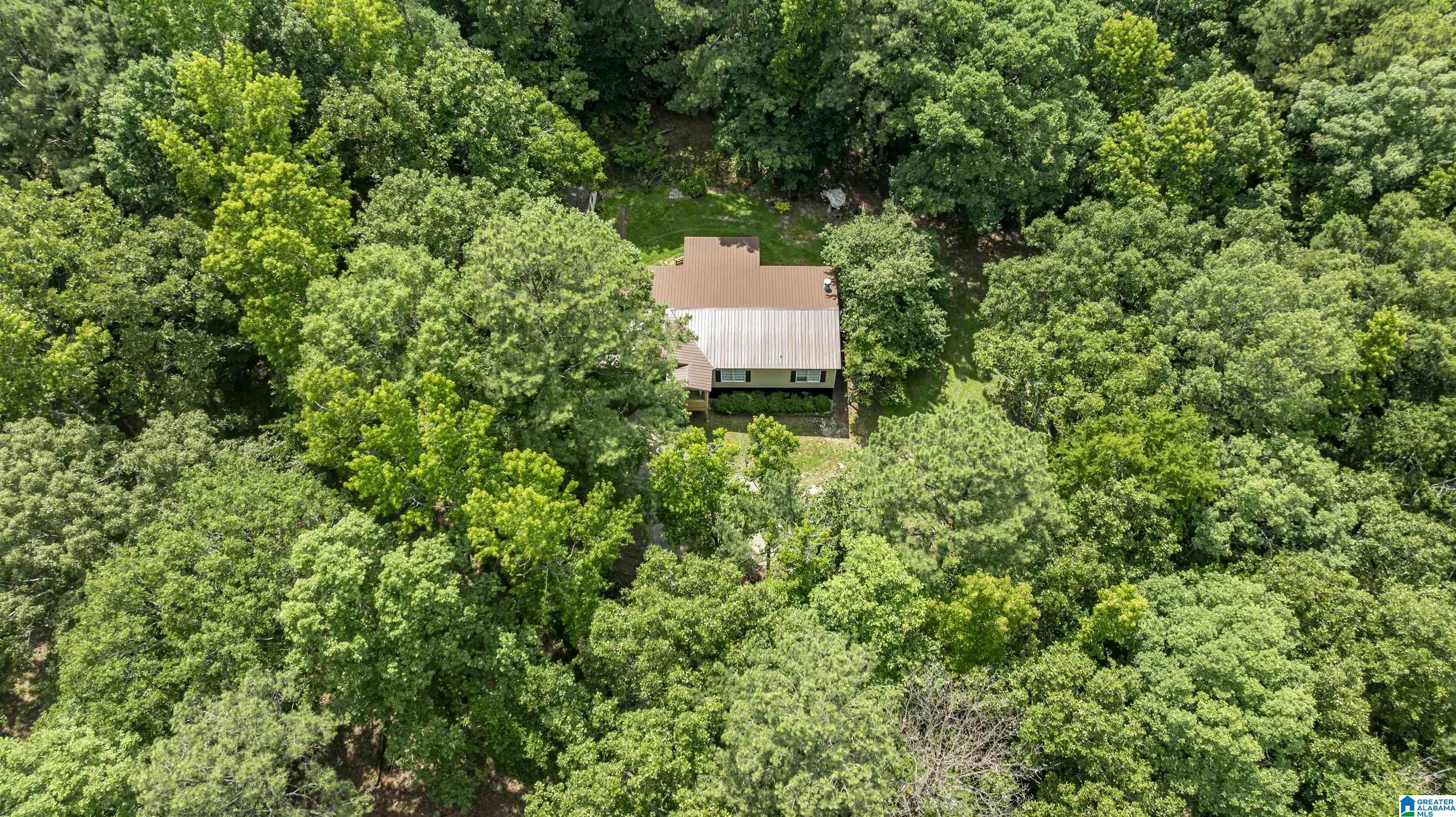 Image 3: Aerial View