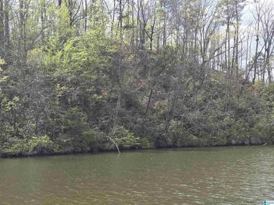 LOT 6 EAGLE MOUNTAIN ROAD
