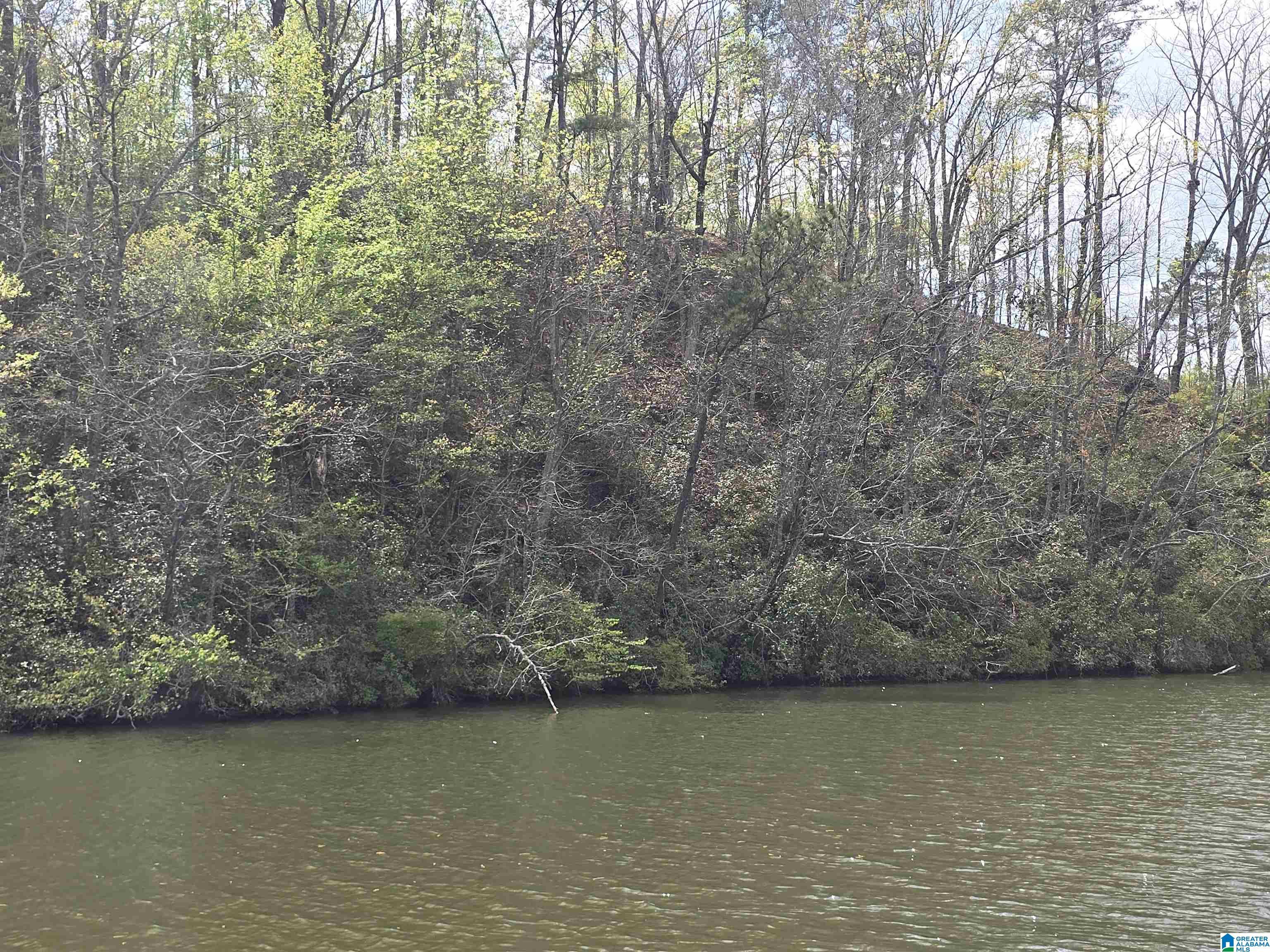 Image 1: View