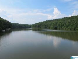 Lot # 6 COUNTY ROAD 88