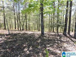Lot 3 COUNTY ROAD 100