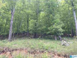 Lot 27 BOULDER POINT LANE
