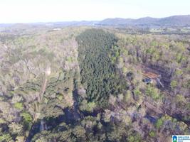 Lot 25.7 Acres COLVIN SPRINGS ROAD