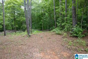 Lot 21 WILLIAMS DRIVE