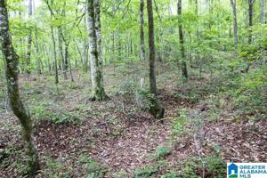 Lot 22 WILLIAMS DRIVE