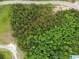 11 UNNAMED ROAD