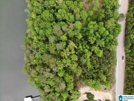 31 UNNAMED ROAD