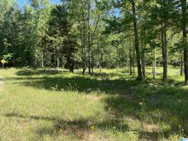 Lot 89 ESTHER CIRCLE