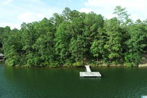 Lot 59 ARROWHEAD DRIVE