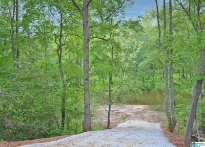 Lot 8 COUNTY ROAD 244