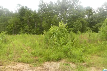 2.93 acres COUNTY ROAD 329