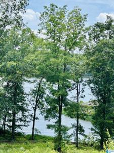 Lot 180 STILLWATERS TRAIL