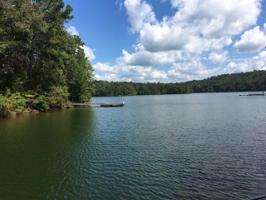 Lot 6 COUNTY ROAD 230