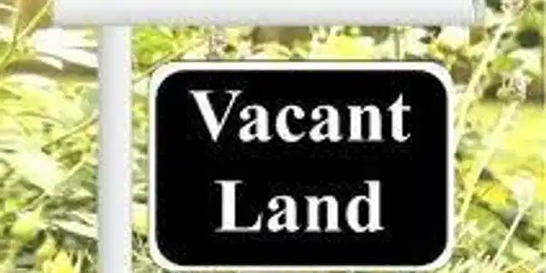 Lot 1 BLUE GILL LN