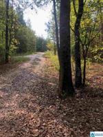 Lot 1 CEDAR VALLEY DR