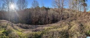1060 COUNTY ROAD 203