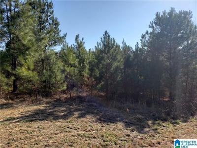 Lot 13 STILLWATER LANE