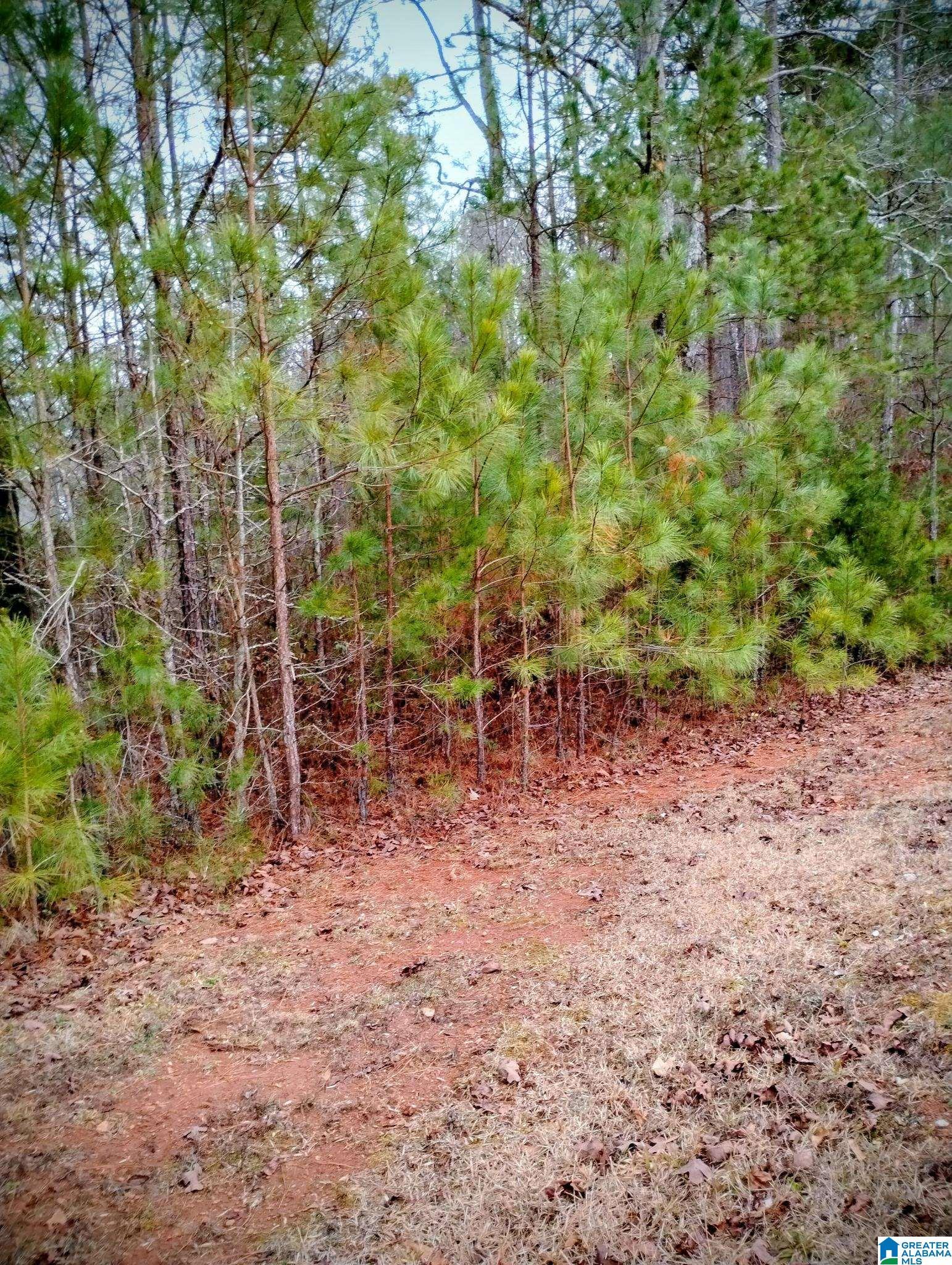 Image 2: View