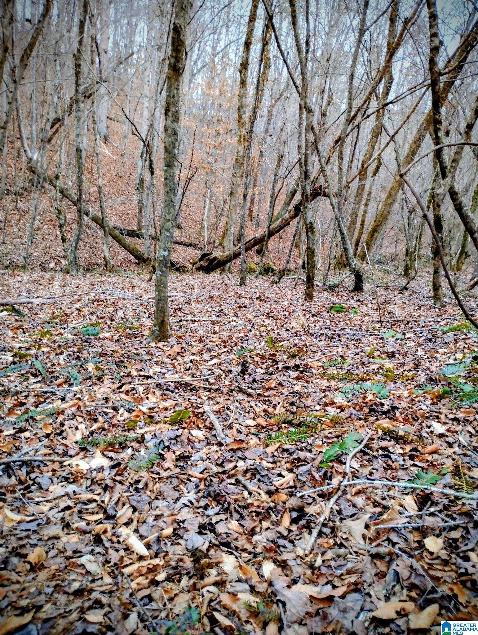 Image 3: View