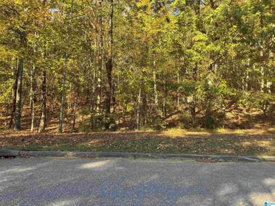 125 HIGHLAND VIEW DRIVE