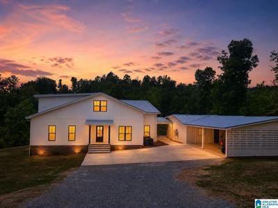863 COUNTY ROAD 481