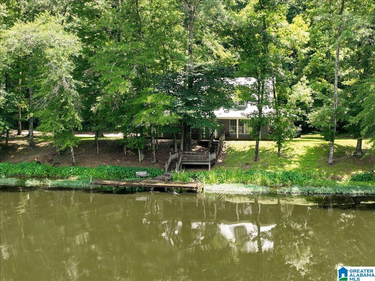 Image 2: Dock