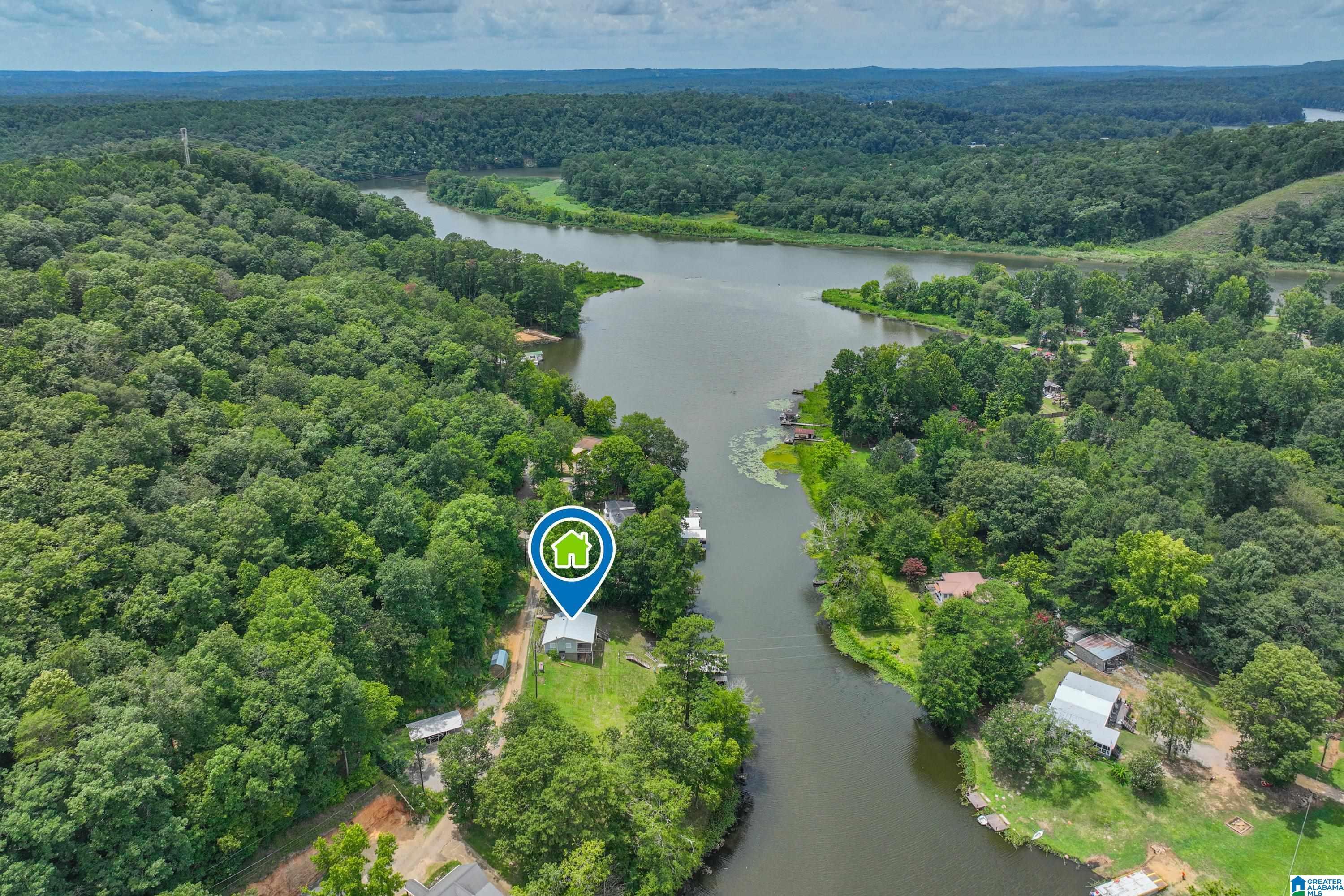 Image 4: Locust Fork River View