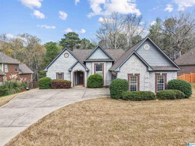 221 PARK LAKE TRACE