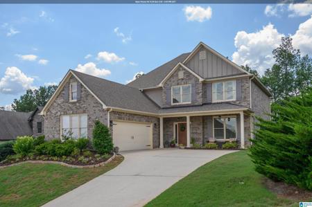 1505 SCOUT TRACE