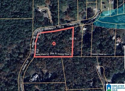 45 COOSA VIEW LANE