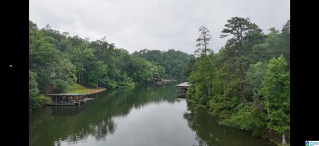 1733 MIMOSA POINT ROAD