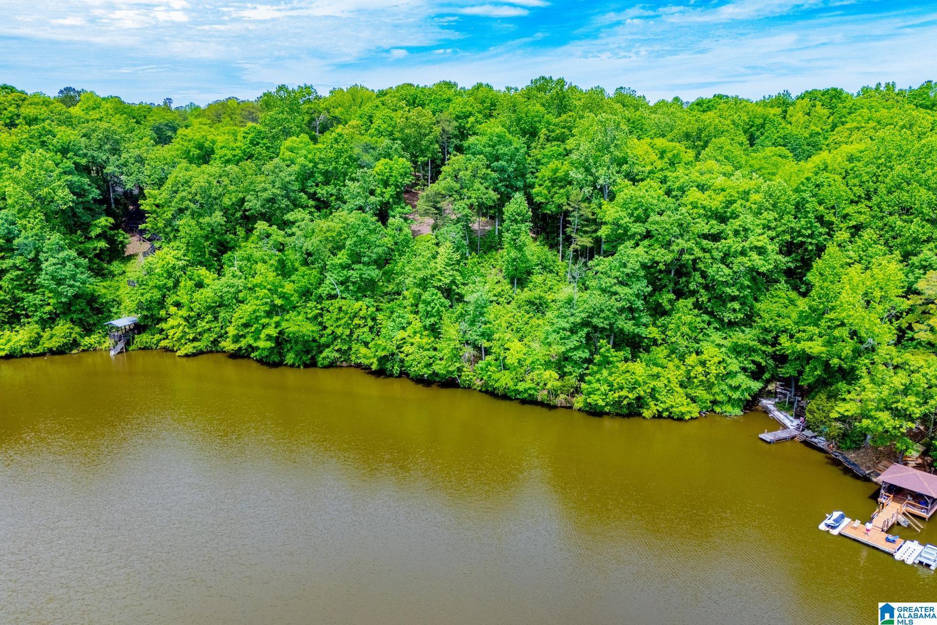 Image 1: 2.15 ACRES ON LAKE WEDOWEE