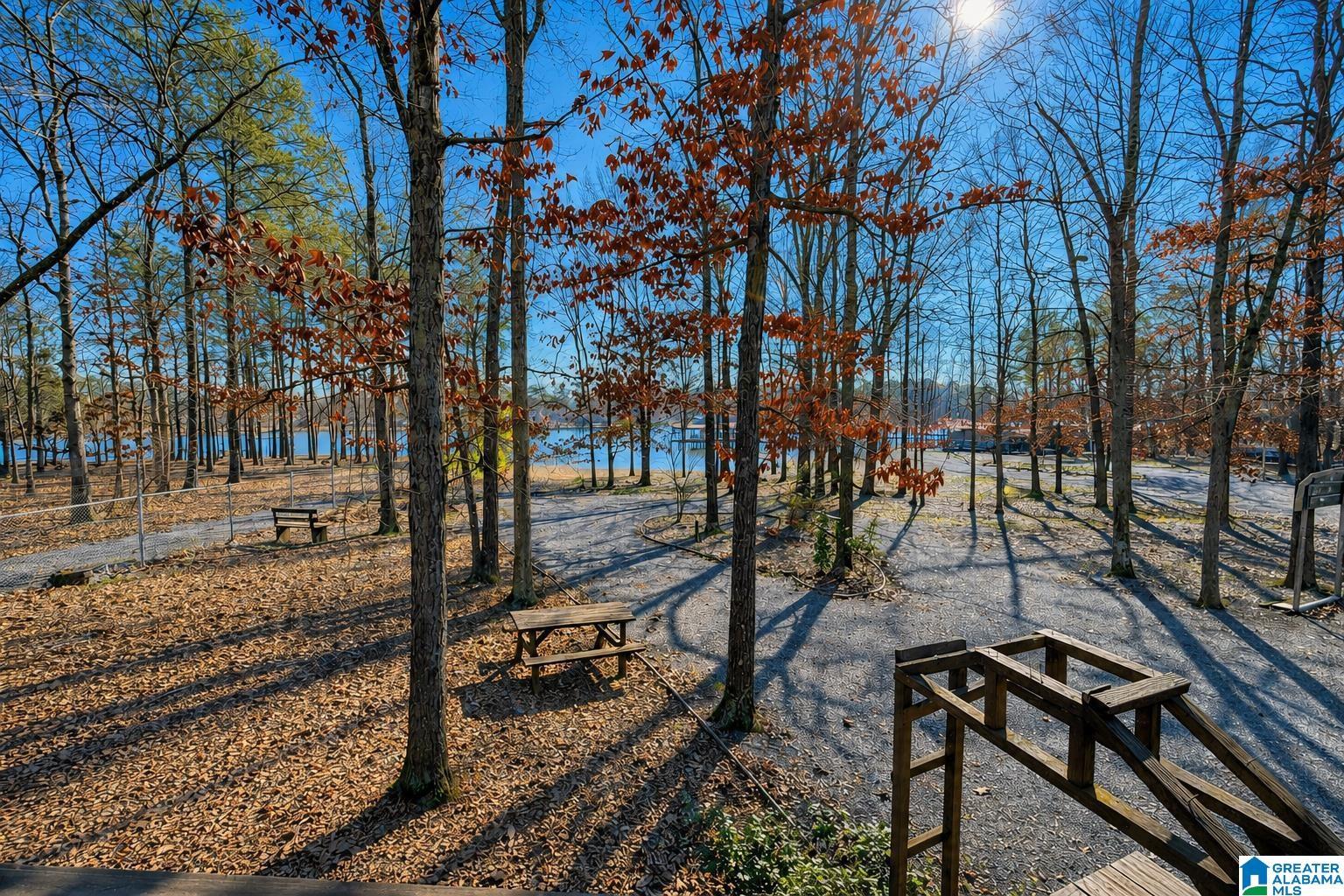 Image 4: Lake Weiss Cedar Bluff, AL