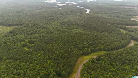 0 COUNTY ROAD 804