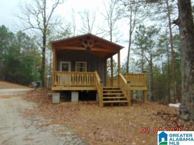 295 COUNTY ROAD 919