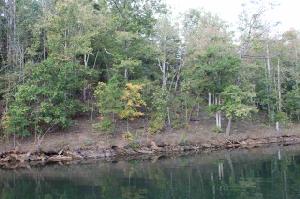 Lot 30 GINHOUSE POINTLot 30