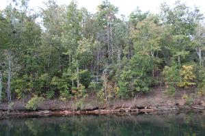 Lot 31 GINHOUSE POINTLOT 31