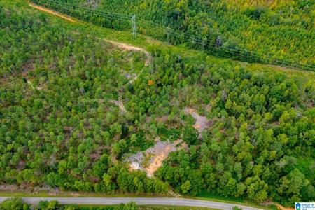 80.73 acres COUNTY ROAD 99
