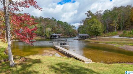 560 DAVIS ACRES DRIVE