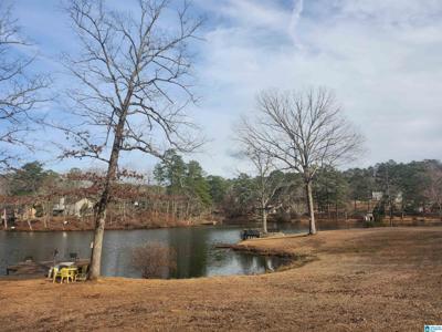 12974 ALPINE CIRCLE