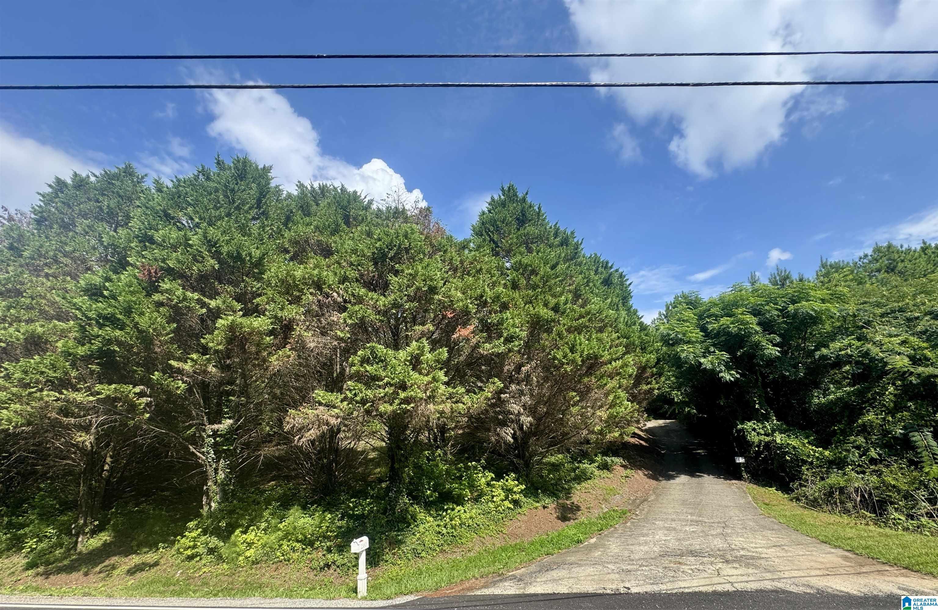 Image 2: Community