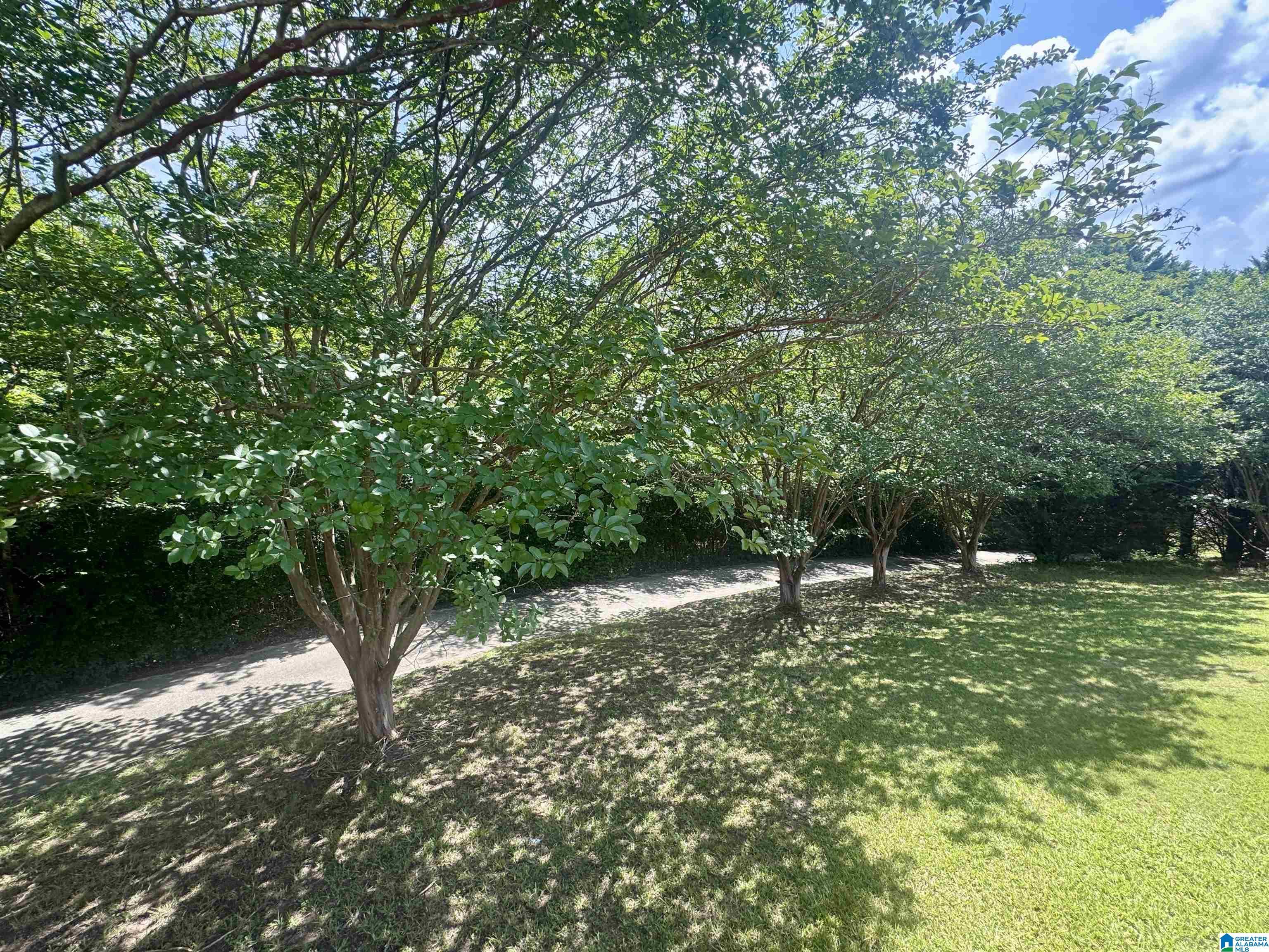 Image 4: Yard